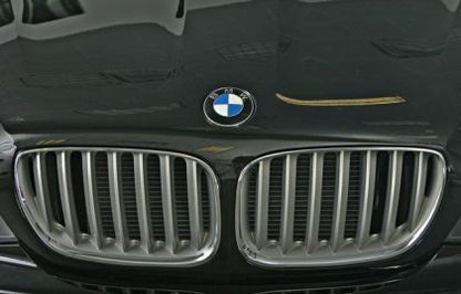 Решетки за BMW X5 E53 (2004-2007) - силвър - View 2